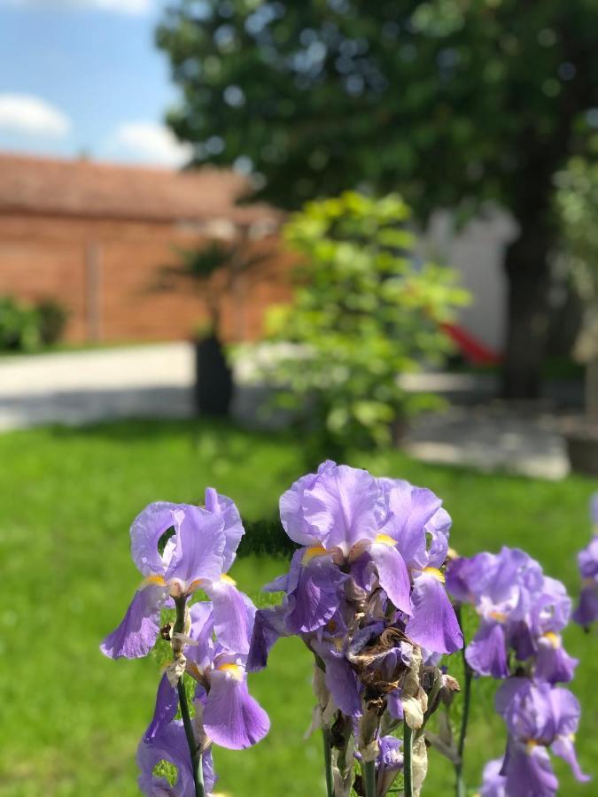 Eden Apartman Algyo Екстер'єр фото